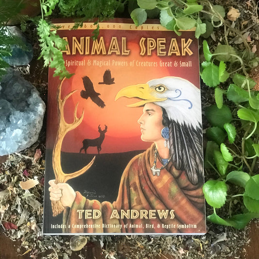 Animal Speak by Ted Andrews image 0