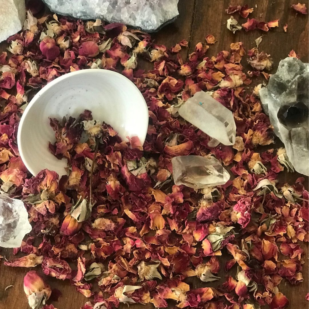 Rose Buds image 0