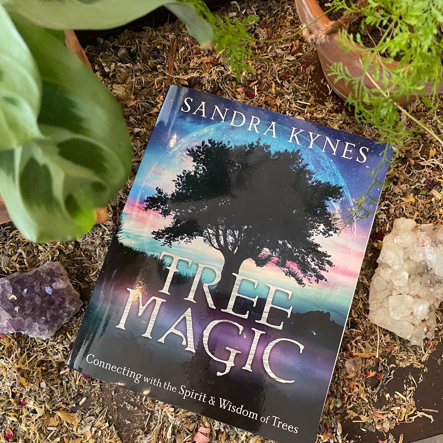 Tree Magic image 0