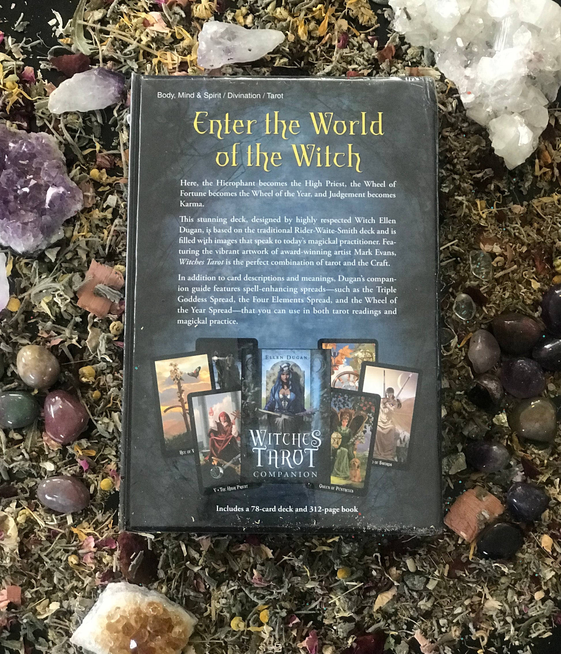 Witches Tarot image 1