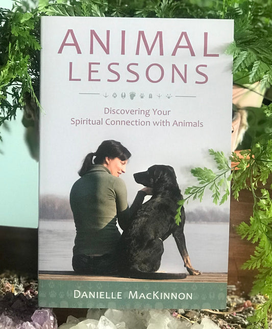 Animal Lessons image 0
